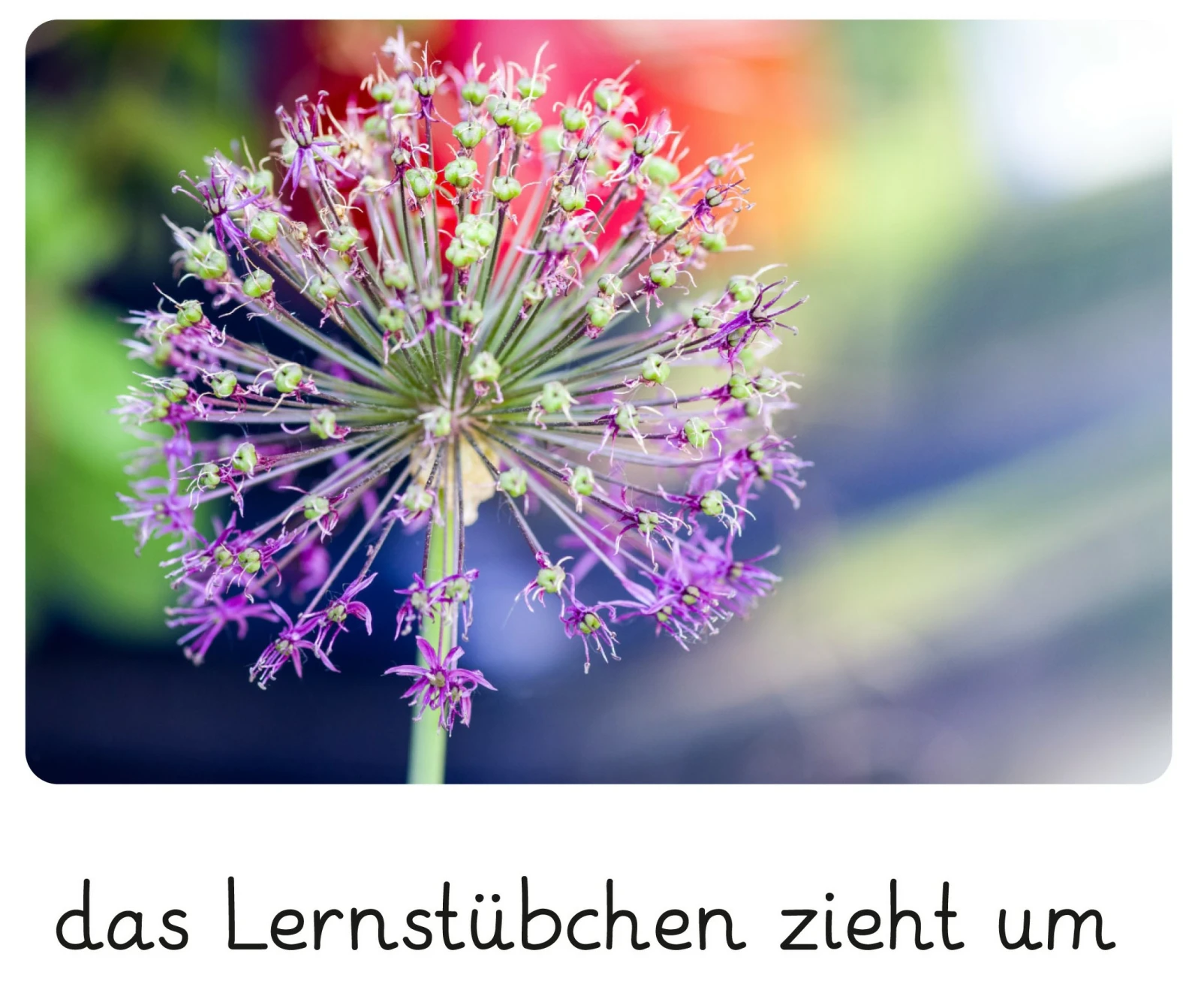 das Lernstübchen zieht um.jpeg